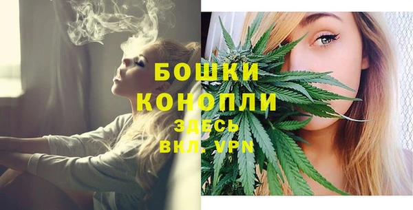 прущий лед Вязьма