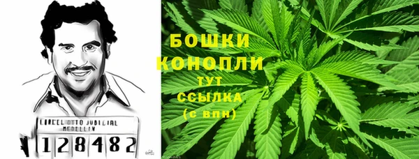 прущий лед Вязьма