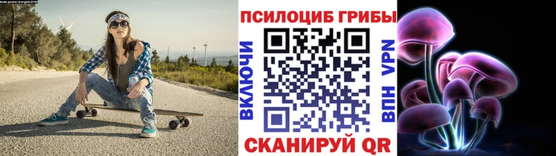 Псилоцибиновые грибы мухоморы  купить   нарко площадка официальный сайт  Петропавловск-Камчатский 